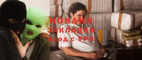 шишки Елизово