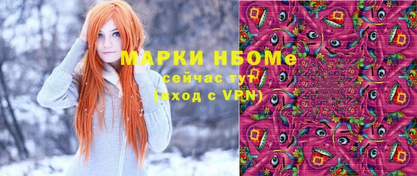 молекула духа Ельня