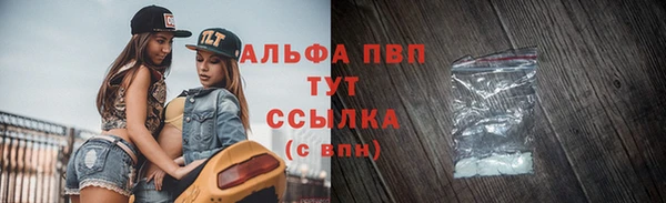 молекула духа Ельня
