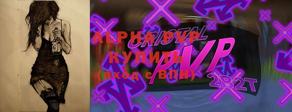 шишки Елизово