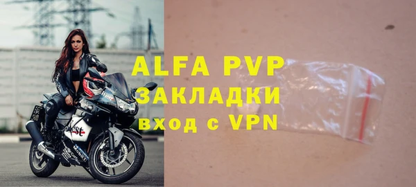 шишки Елизово
