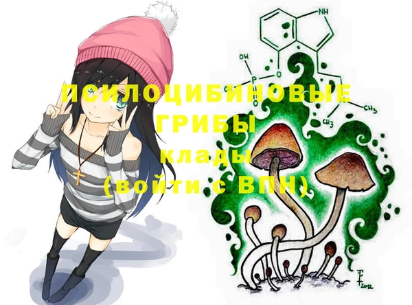 шишки Елизово