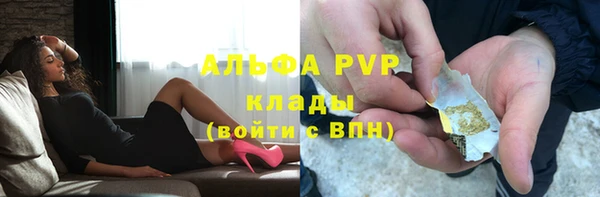 молекула духа Ельня