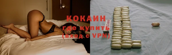 молекула духа Ельня