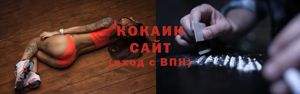 шишки Елизово