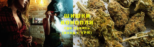 шишки Елизово