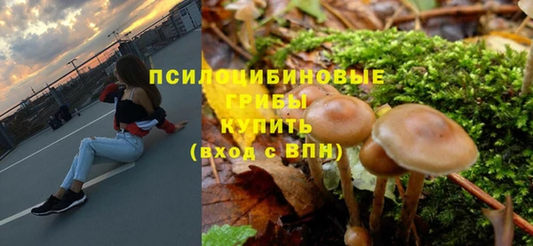 шишки Елизово