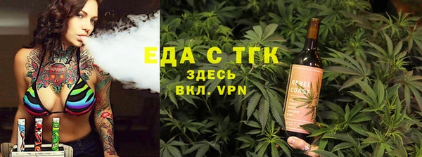 молекула духа Ельня