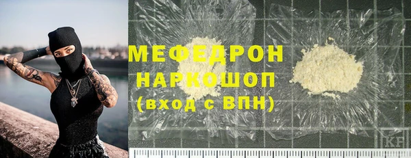 молекула духа Ельня