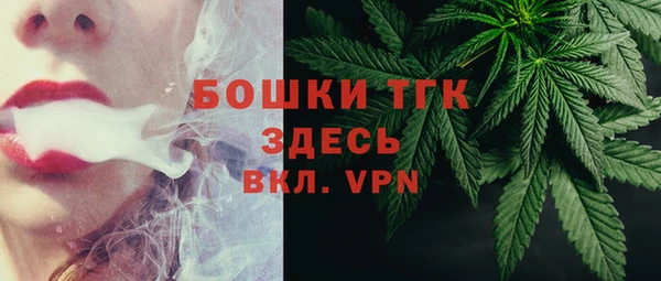 молекула духа Ельня
