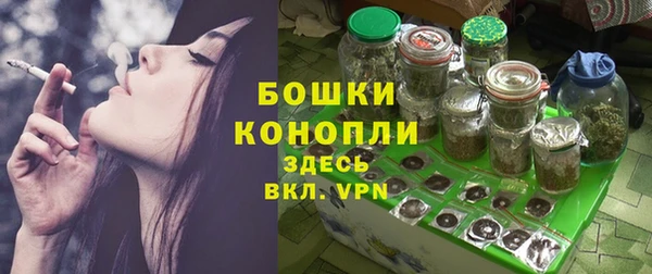 шишки Елизово