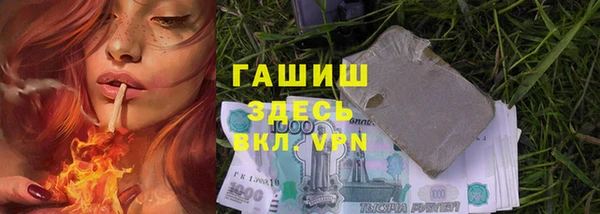 молекула духа Ельня