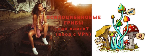 молекула духа Ельня
