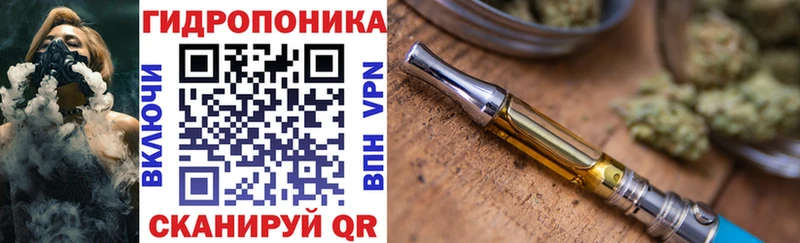 Купить закладки  Кинель  Конопля конопля 